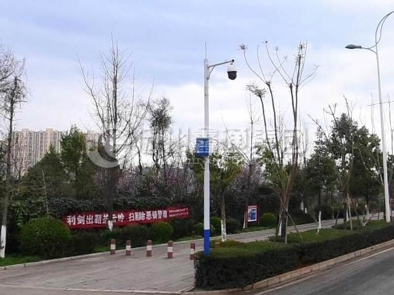 DJG-025，電子警察桿，治安監(jiān)控桿